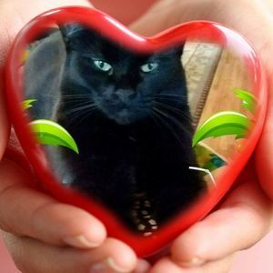 Meet your Posher, Dona